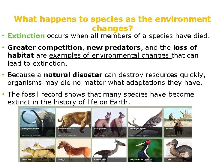 What happens to species as the environment changes? • Extinction occurs when all members