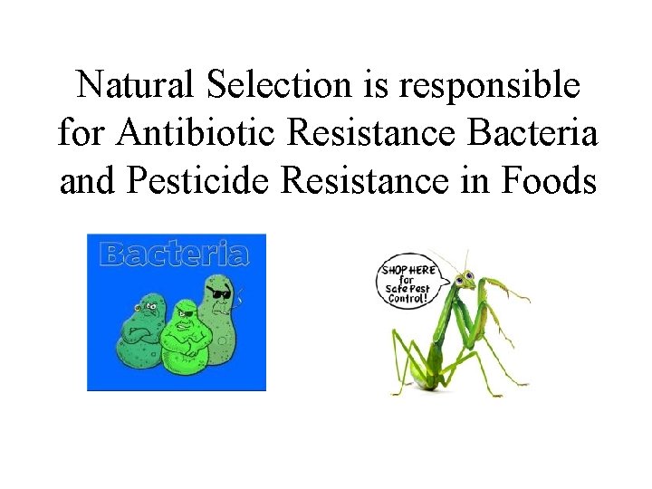 Natural Selection is responsible for Antibiotic Resistance Bacteria and Pesticide Resistance in Foods 