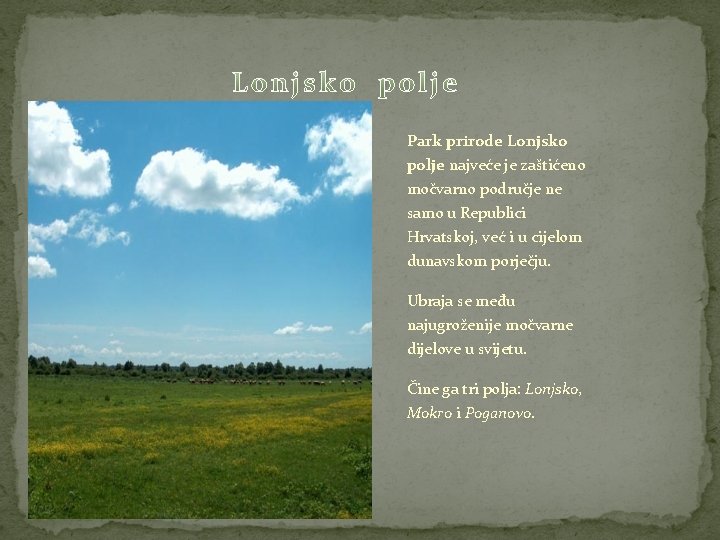 Park prirode Lonjsko polje najveće je zaštićeno močvarno područje ne samo u Republici Hrvatskoj,