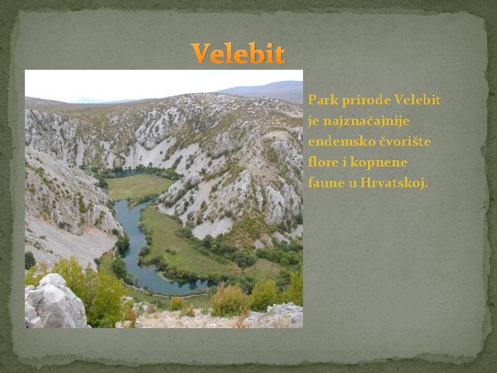 Velebit Park prirode Velebit je najznačajnije endemsko čvorište flore i kopnene faune u Hrvatskoj.