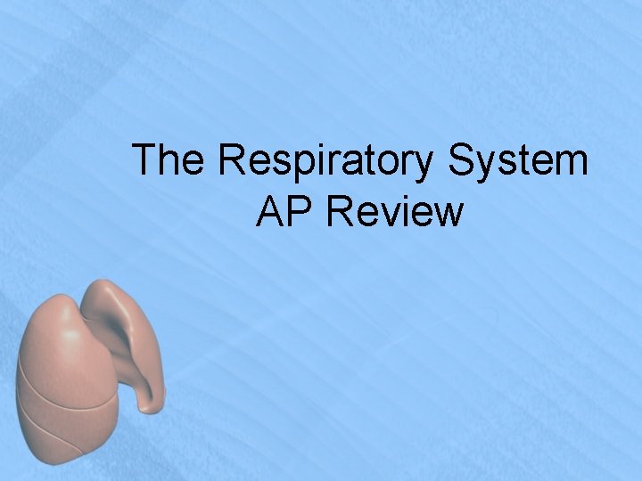 The Respiratory System AP Review 