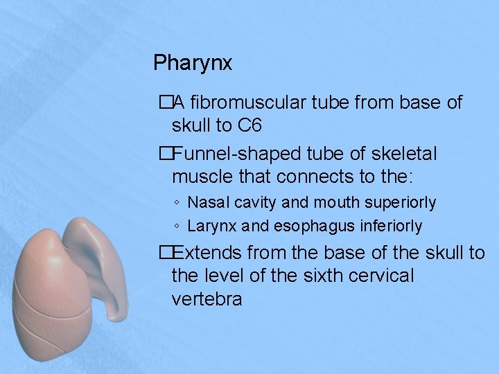 Pharynx �A fibromuscular tube from base of skull to C 6 �Funnel-shaped tube of