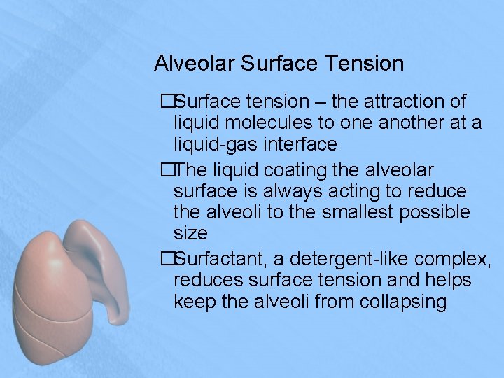 Alveolar Surface Tension �Surface tension – the attraction of liquid molecules to one another