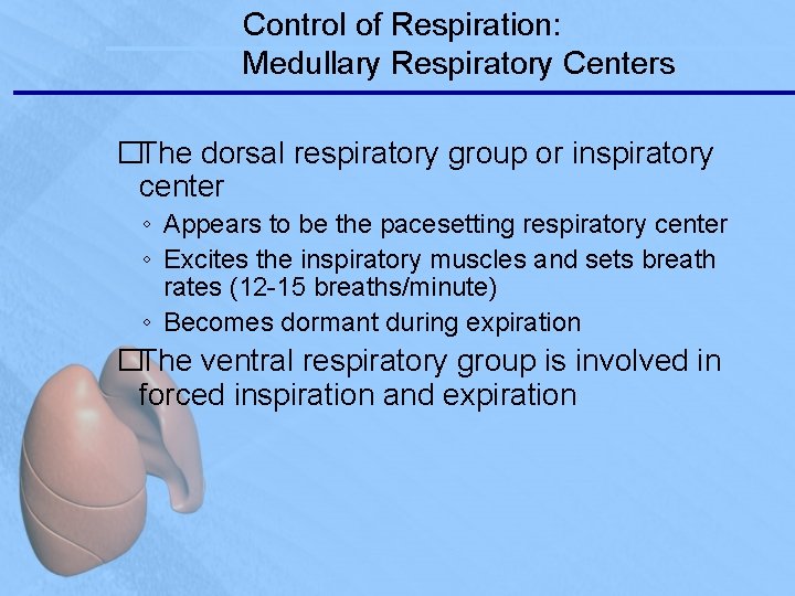 Control of Respiration: Medullary Respiratory Centers �The dorsal respiratory group or inspiratory center ◦