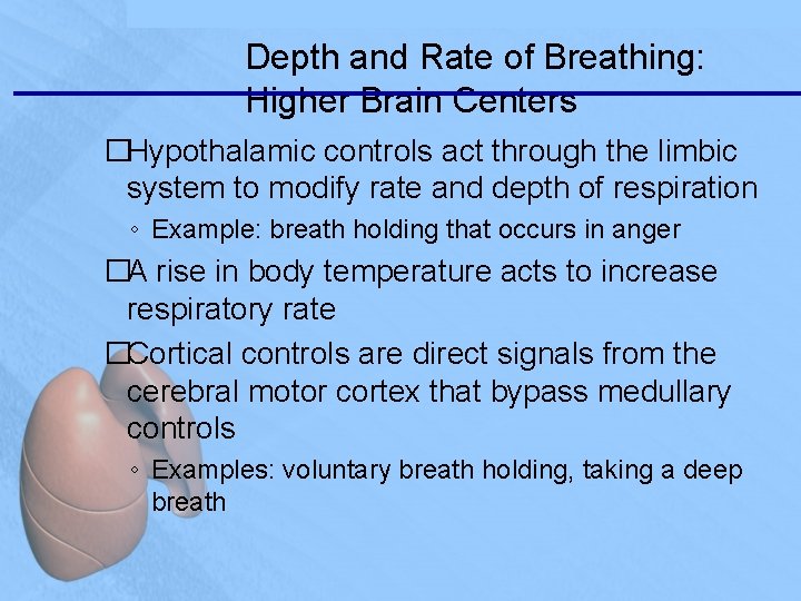 Depth and Rate of Breathing: Higher Brain Centers �Hypothalamic controls act through the limbic
