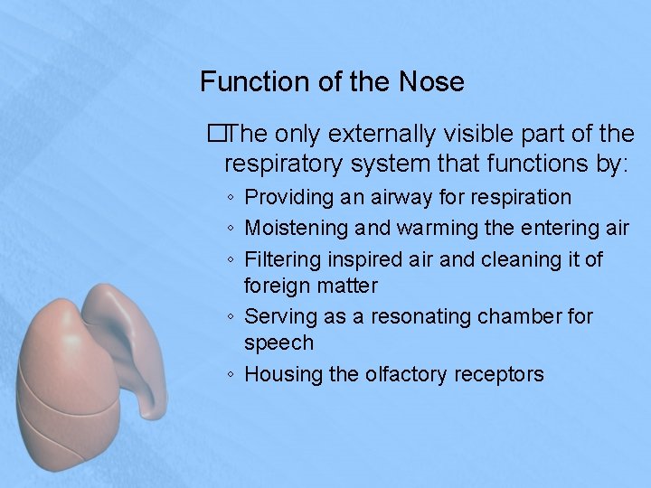 Function of the Nose �The only externally visible part of the respiratory system that