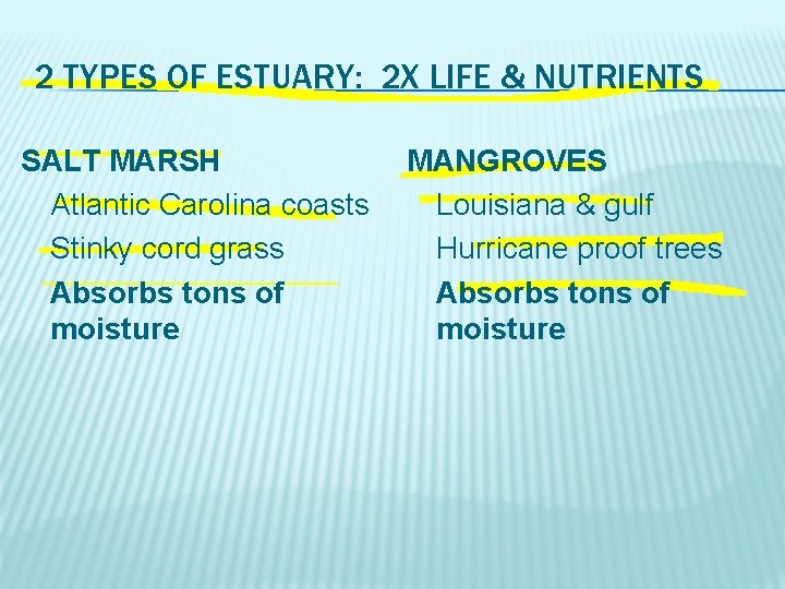 2 TYPES OF ESTUARY: 2 X LIFE & NUTRIENTS SALT MARSH Atlantic Carolina coasts