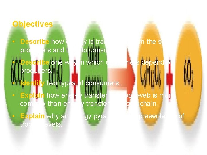 How Ecosystems Work Section 1 Objectives • Describe how energy is transferred from the