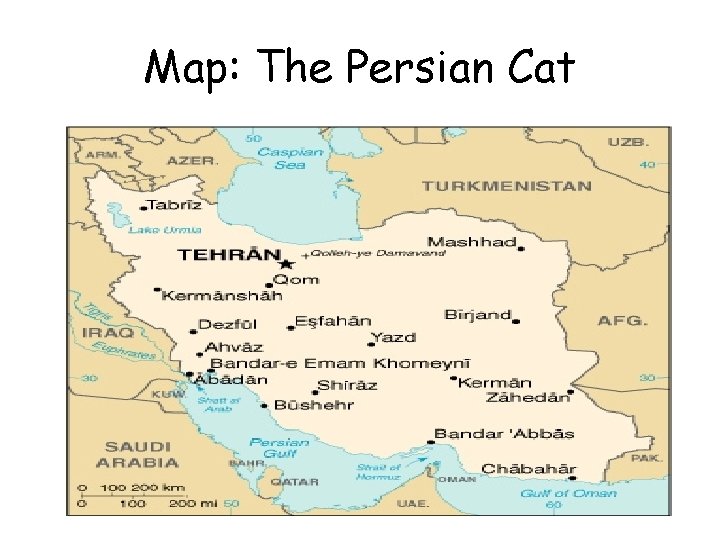 Map: The Persian Cat 