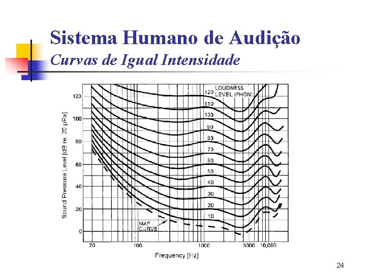 Sistema Humano de Audição Curvas de Igual Intensidade 24 