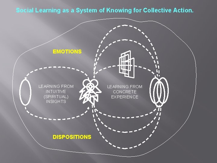 Social Learning as a System of Knowing for Collective Action. EMOTIONS LEARNING FROM INTUITIVE