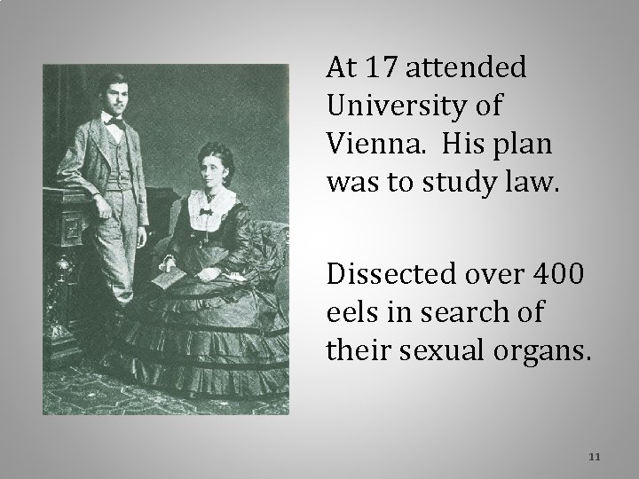 At 17 attended University of Vienna. His plan was to study law. Dissected over At 17 attended University of Vienna. His plan was to study law. Dissected over