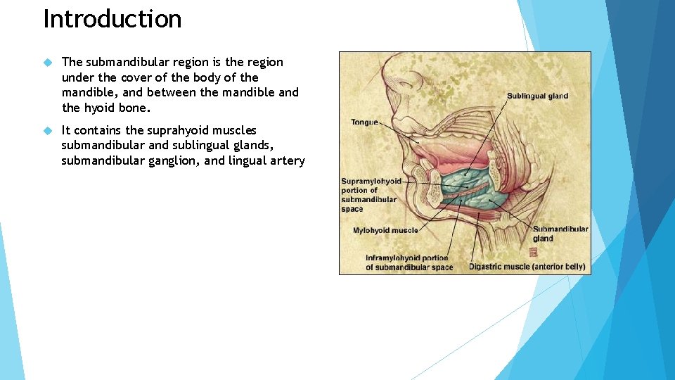 Introduction The submandibular region is the region under the cover of the body of