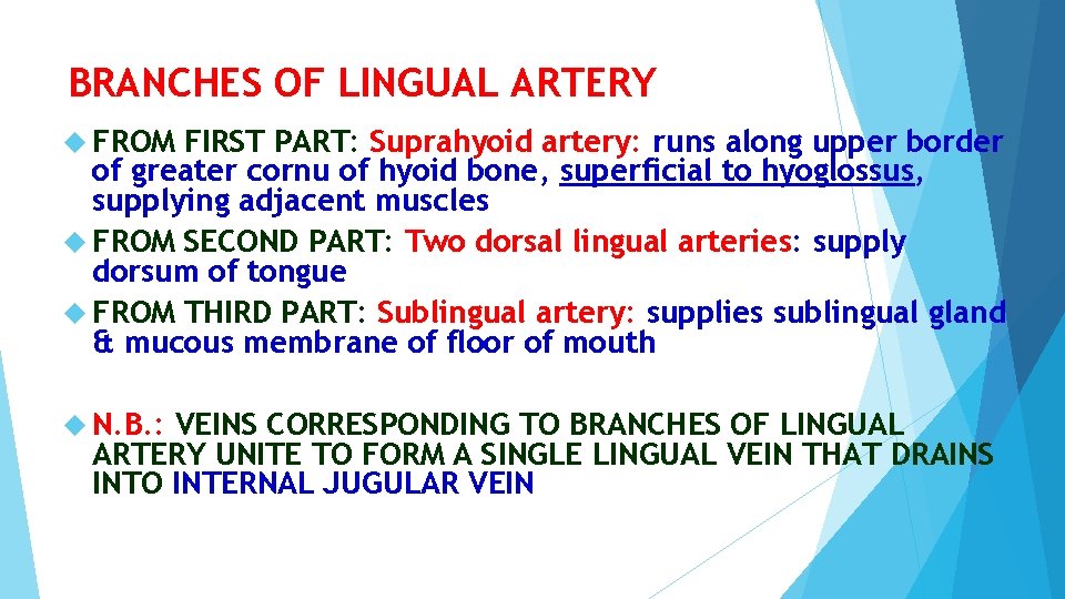 BRANCHES OF LINGUAL ARTERY FROM FIRST PART: Suprahyoid artery: runs along upper border of