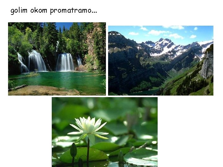 golim okom promatramo. . . 