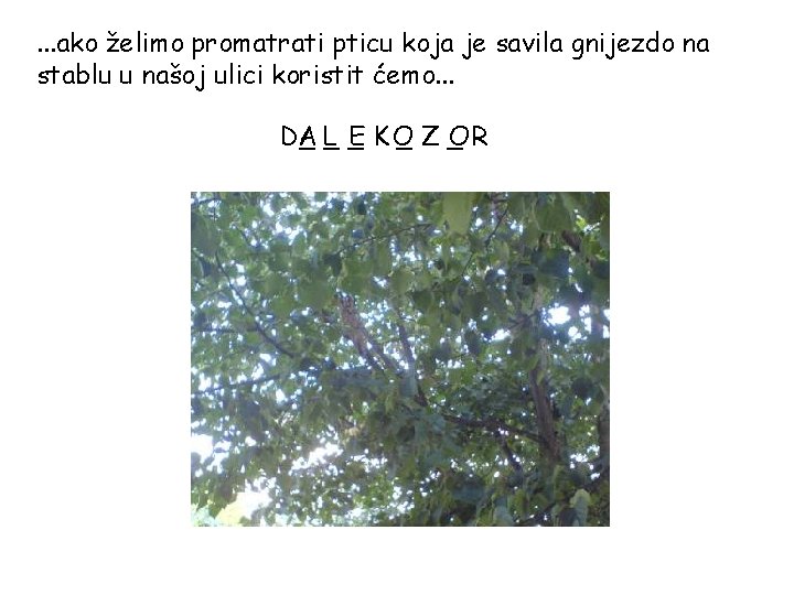 . . . ako želimo promatrati pticu koja je savila gnijezdo na stablu u