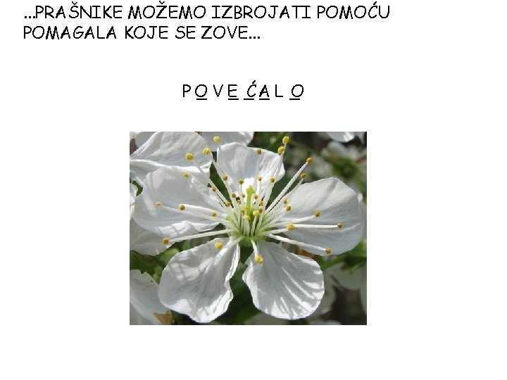 . . . PRAŠNIKE MOŽEMO IZBROJATI POMOĆU POMAGALA KOJE SE ZOVE. . . PO