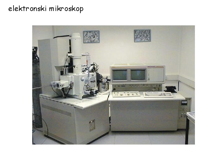 elektronski mikroskop 