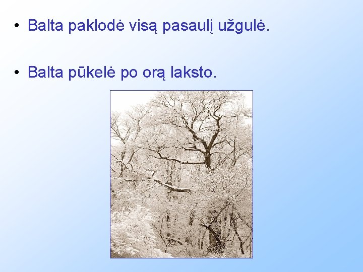  • Balta paklodė visą pasaulį užgulė. • Balta pūkelė po orą laksto. 