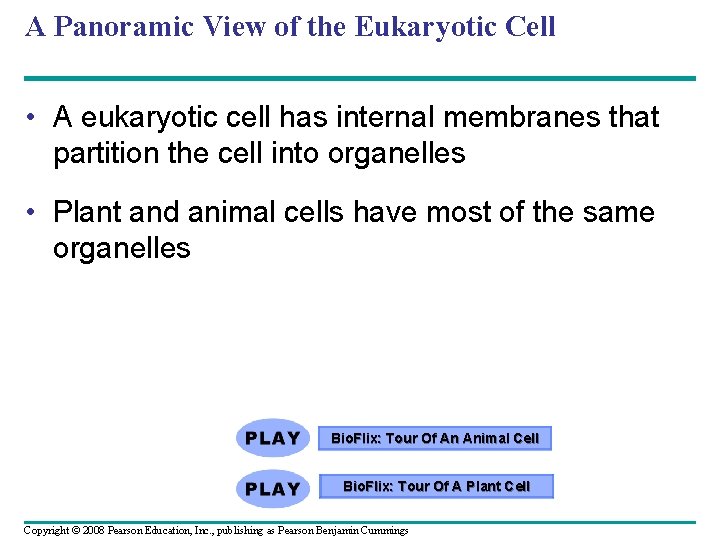 A Panoramic View of the Eukaryotic Cell • A eukaryotic cell has internal membranes A Panoramic View of the Eukaryotic Cell • A eukaryotic cell has internal membranes