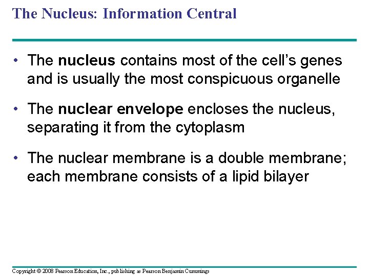 The Nucleus: Information Central • The nucleus contains most of the cell’s genes and The Nucleus: Information Central • The nucleus contains most of the cell’s genes and
