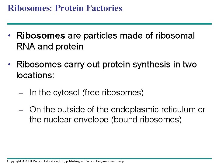 Ribosomes: Protein Factories • Ribosomes are particles made of ribosomal RNA and protein • Ribosomes: Protein Factories • Ribosomes are particles made of ribosomal RNA and protein •