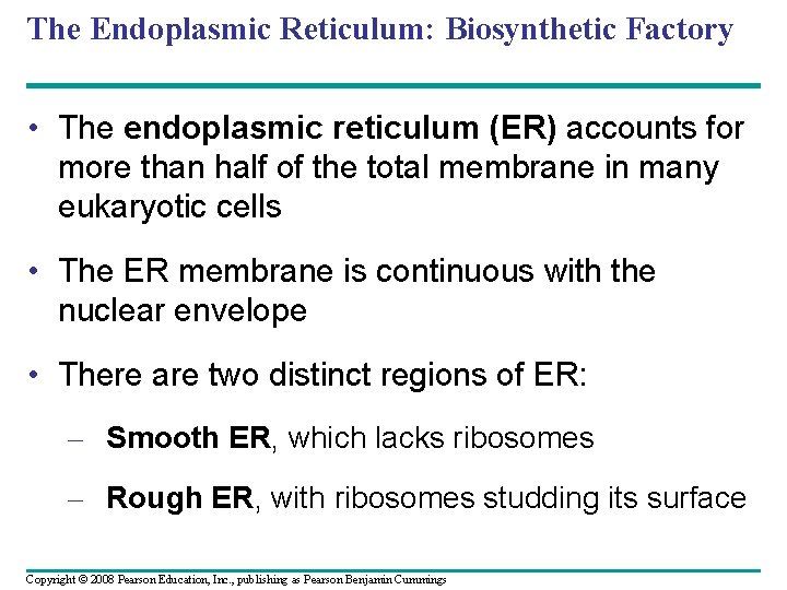 The Endoplasmic Reticulum: Biosynthetic Factory • The endoplasmic reticulum (ER) accounts for more than The Endoplasmic Reticulum: Biosynthetic Factory • The endoplasmic reticulum (ER) accounts for more than