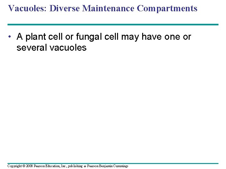 Vacuoles: Diverse Maintenance Compartments • A plant cell or fungal cell may have one Vacuoles: Diverse Maintenance Compartments • A plant cell or fungal cell may have one