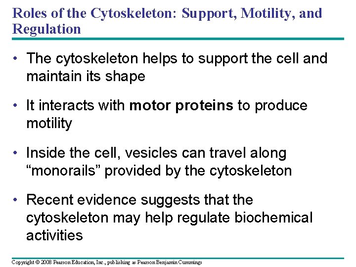Roles of the Cytoskeleton: Support, Motility, and Regulation • The cytoskeleton helps to support Roles of the Cytoskeleton: Support, Motility, and Regulation • The cytoskeleton helps to support