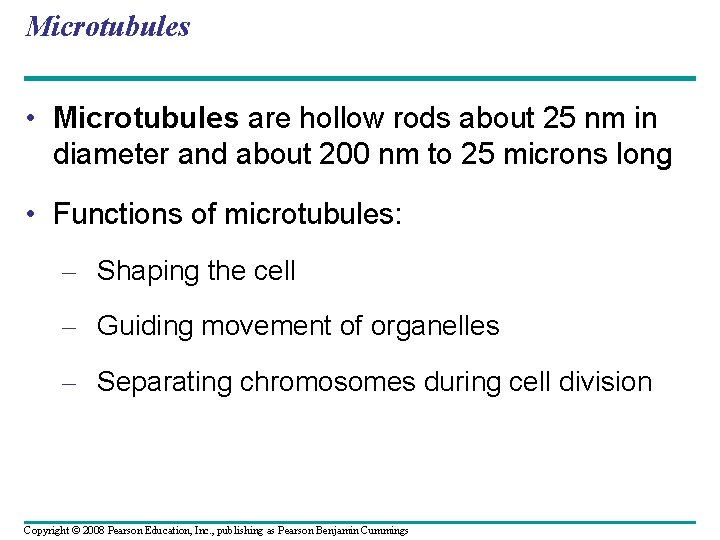 Microtubules • Microtubules are hollow rods about 25 nm in diameter and about 200 Microtubules • Microtubules are hollow rods about 25 nm in diameter and about 200