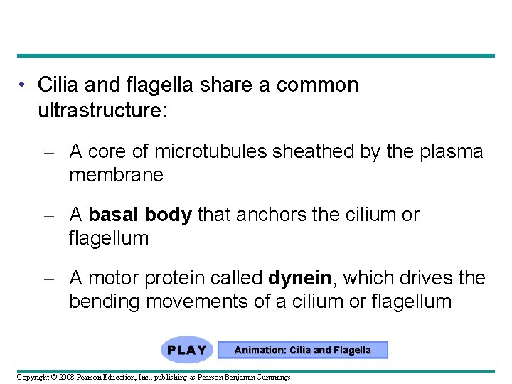 • Cilia and flagella share a common ultrastructure: – A core of microtubules • Cilia and flagella share a common ultrastructure: – A core of microtubules