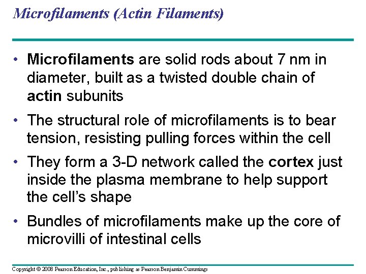 Microfilaments (Actin Filaments) • Microfilaments are solid rods about 7 nm in diameter, built Microfilaments (Actin Filaments) • Microfilaments are solid rods about 7 nm in diameter, built