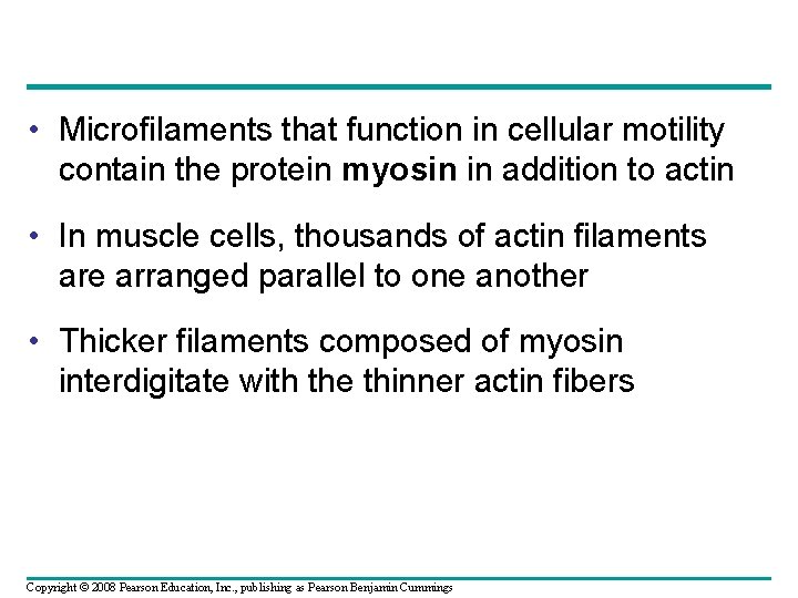 • Microfilaments that function in cellular motility contain the protein myosin in addition • Microfilaments that function in cellular motility contain the protein myosin in addition