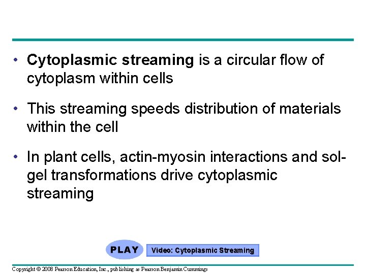 • Cytoplasmic streaming is a circular flow of cytoplasm within cells • This • Cytoplasmic streaming is a circular flow of cytoplasm within cells • This