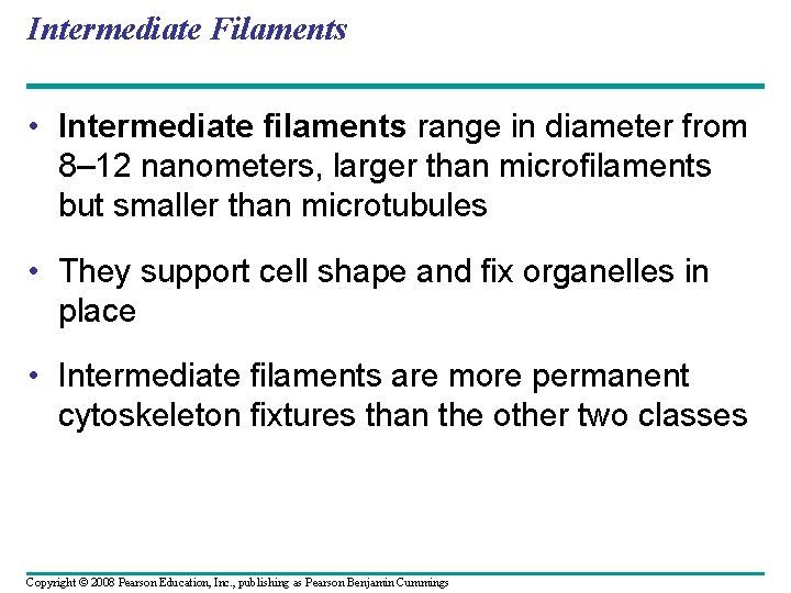 Intermediate Filaments • Intermediate filaments range in diameter from 8– 12 nanometers, larger than Intermediate Filaments • Intermediate filaments range in diameter from 8– 12 nanometers, larger than