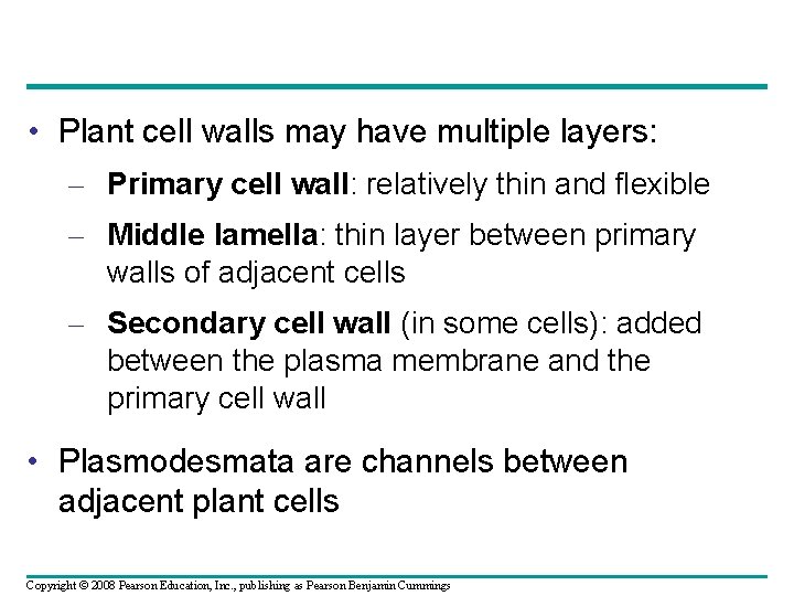 • Plant cell walls may have multiple layers: – Primary cell wall: relatively • Plant cell walls may have multiple layers: – Primary cell wall: relatively
