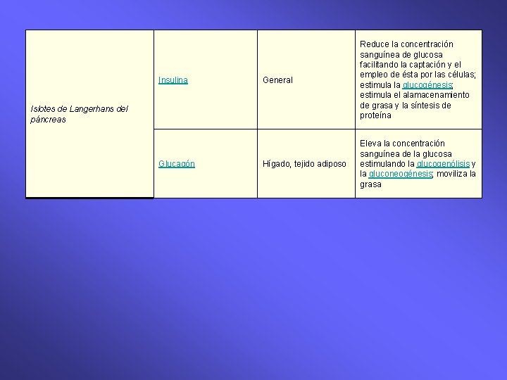 Insulina General Reduce la concentración sanguínea de glucosa facilitando la captación y el empleo