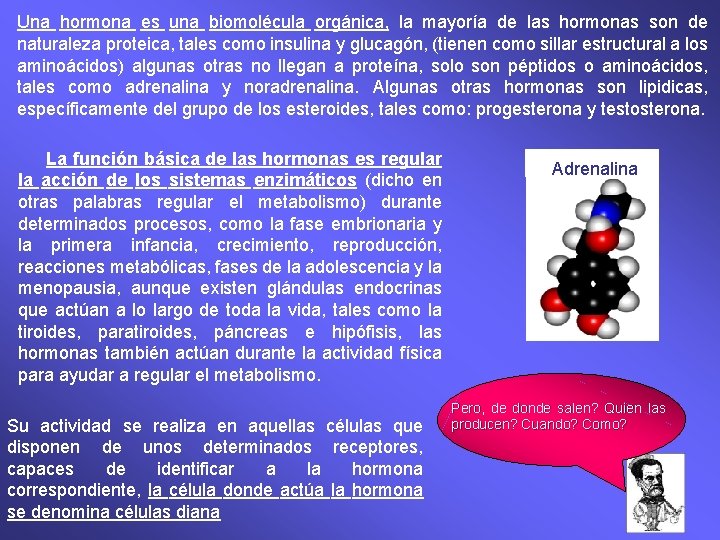 Una hormona es una biomolécula orgánica, la mayoría de las hormonas son de naturaleza