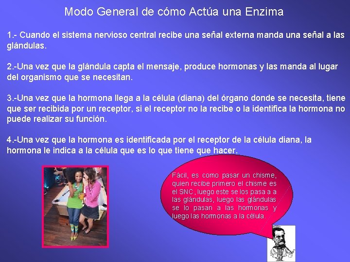 Modo General de cómo Actúa una Enzima 1. - Cuando el sistema nervioso central