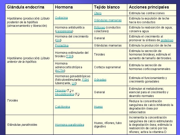 Glándula endocrina Hipotálamo (producción) Lóbulo posterior de la hipófisis (almacenamiento y liberación) Hipotálamo (producción)