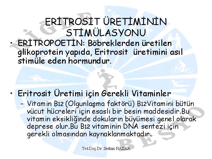 ERİTROSİT ÜRETİMİNİN STİMÜLASYONU • ERİTROPOETİN: Böbreklerden üretilen glikoprotein yapıda, Eritrosit üretimini asıl stimüle eden