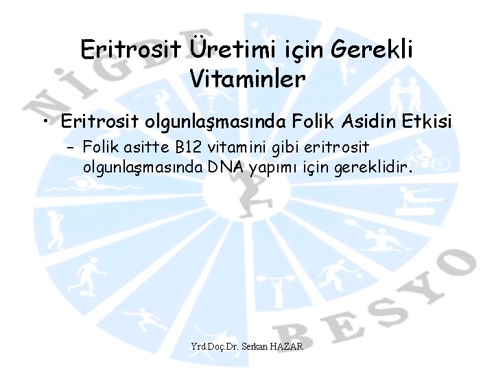 Eritrosit Üretimi için Gerekli Vitaminler • Eritrosit olgunlaşmasında Folik Asidin Etkisi – Folik asitte