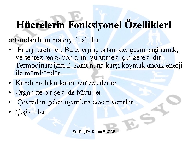 Hücrelerin Fonksiyonel Özellikleri ortamdan ham materyali alırlar • Enerji üretirler: Bu enerji iç ortam