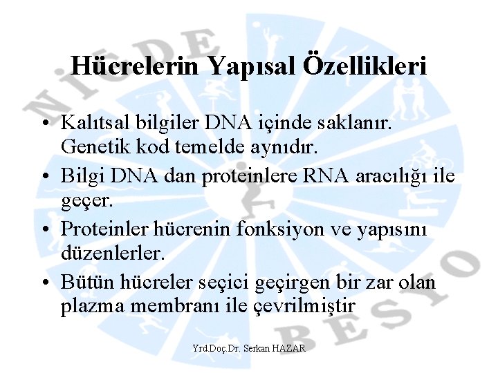 Hücrelerin Yapısal Özellikleri • Kalıtsal bilgiler DNA içinde saklanır. Genetik kod temelde aynıdır. •