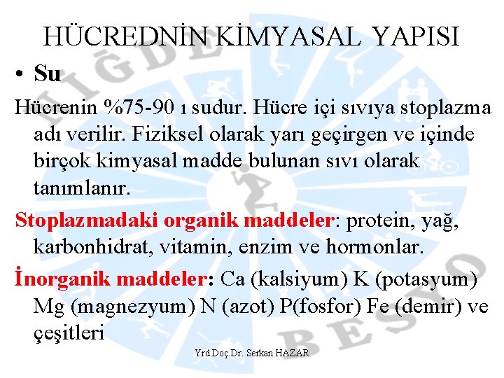 HÜCREDNİN KİMYASAL YAPISI • Su Hücrenin %75 -90 ı sudur. Hücre içi sıvıya stoplazma