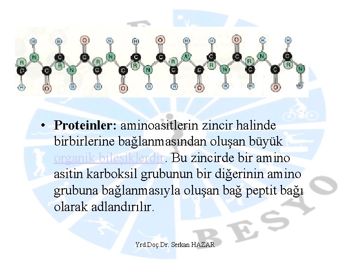  • Proteinler: aminoasitlerin zincir halinde birbirlerine bağlanmasından oluşan büyük organik bileşiklerdir. Bu zincirde