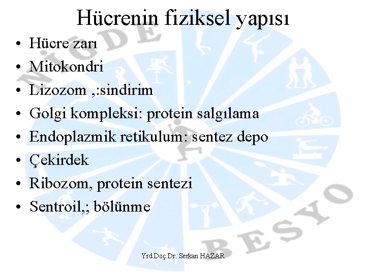 Hücrenin fiziksel yapısı • • Hücre zarı Mitokondri Lizozom , : sindirim Golgi kompleksi: