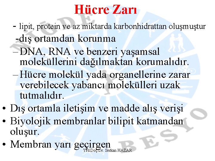 Hücre Zarı - lipit, protein ve az miktarda karbonhidrattan oluşmuştur -dış ortamdan korunma –