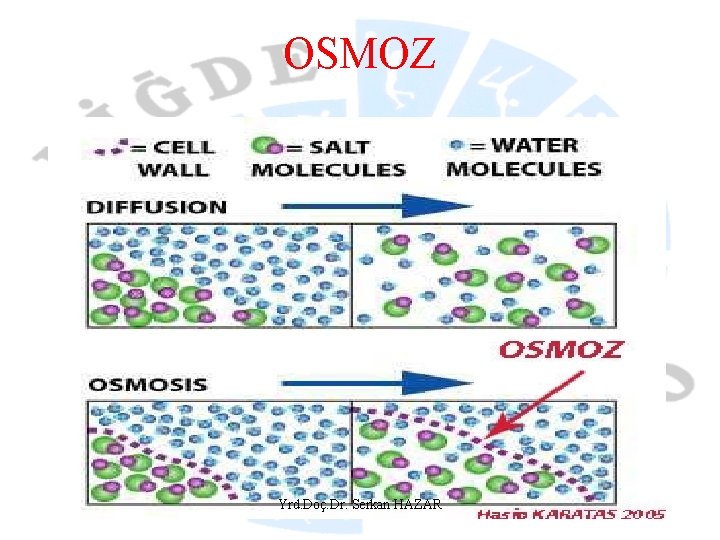 OSMOZ Yrd. Doç. Dr. Serkan HAZAR 