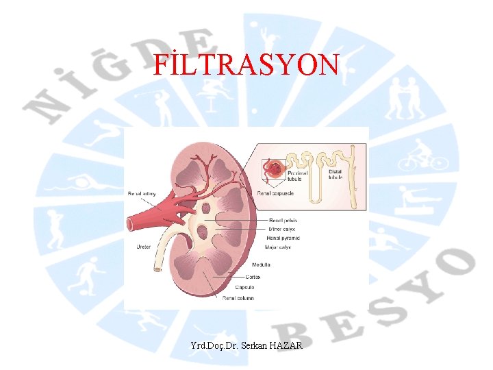 FİLTRASYON Yrd. Doç. Dr. Serkan HAZAR 